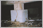 シロアリは地中から蟻道というトンネルを作り建物へ侵入します。